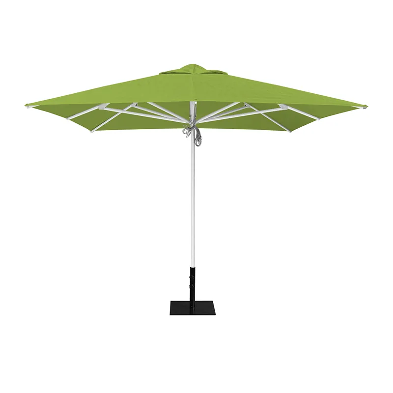 Market Umbrella